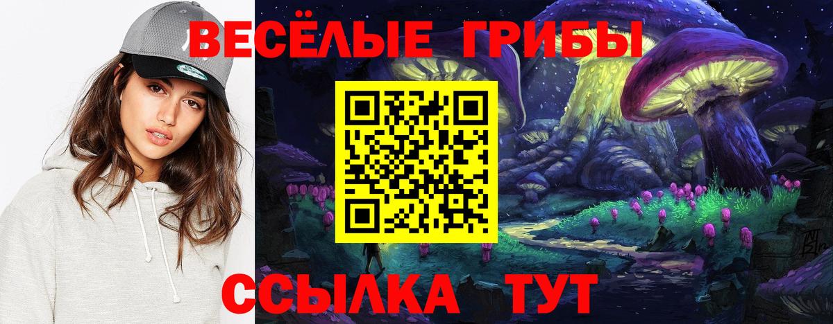 Москва  где можно купить   Вход с VPN  Галлюциногенные грибы мухоморы  Псилоцибиновые грибы ЛСД 
