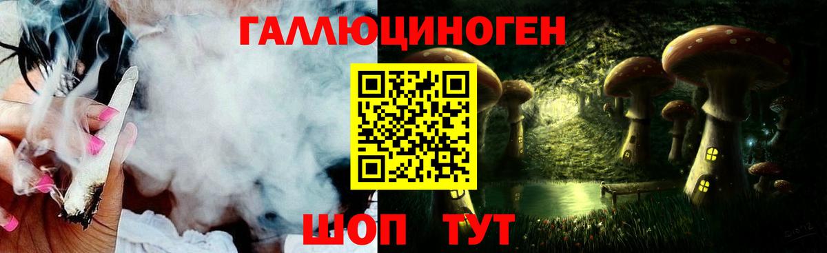 Псилоцибиновые грибы мухоморы Москва